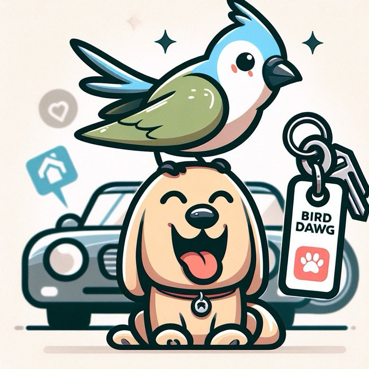 Bird Dawg Network