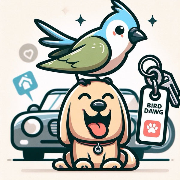 Bird Dawg Network