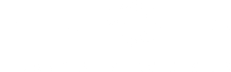 Stellantis Financial Services US